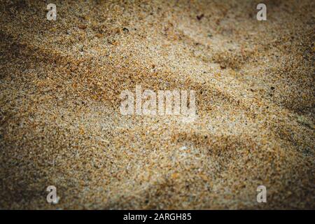 Vista sulla spiaggia di Elliot's Beach, Chennai, India Foto Stock