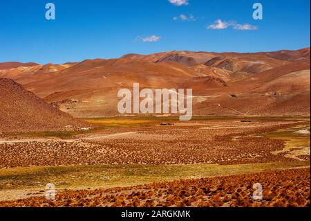 Paesaggio sulla Ruta 51 vicino al confine con il Cile a Paso Sico, Argentina Foto Stock