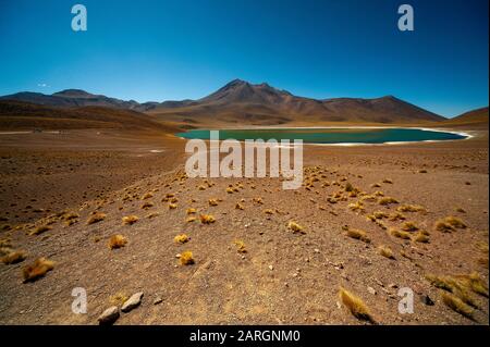 Lago Miniques, Laghi Altiplanic, Deserto Di Atacama, Cile Foto Stock