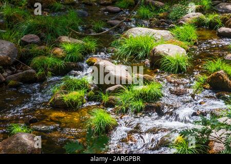 Fiume. Foto Stock