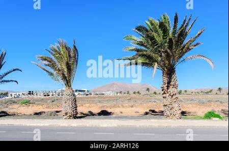 Paesaggi marroni in Costa Teguise, Lanzarote, fuoco selettivo Foto Stock