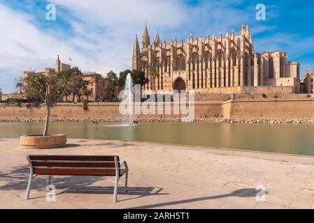 Panchina sul lungomare che si affaccia la Seu, la cattedrale gotica di Santa María de Palma de Mallorca. Spagna Foto Stock
