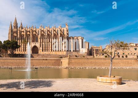 Passeggiata che si affaccia su la Seu, la cattedrale gotica di Santa María de Palma di Maiorca. Spagna Foto Stock