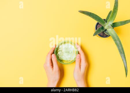 Le mani della donna che tiene il contenitore del gel cosmetico dell'aloe vicino alla pianta che cresce in pentola sul tavolo giallo, vista dall'alto. Foto Stock