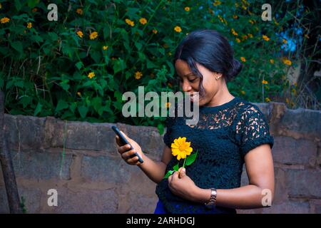 ragazza africana che tiene un girasole che osserva il soddisfare sul suo telefono mobile Foto Stock