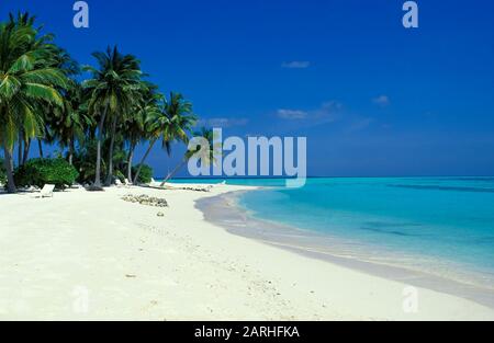 Spiaggia sull'isola di Rangali, Ari-Atoll, Maldive, Oceano Indiano Foto Stock
