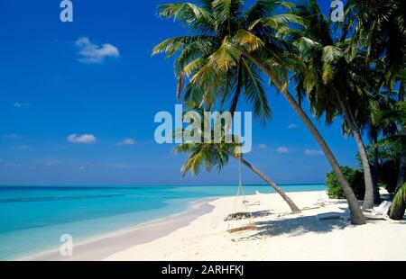 Spiaggia sull'isola di Rangali, Ari-Atoll, Maldive, Oceano Indiano Foto Stock