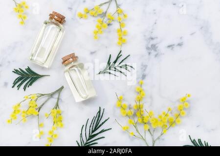 Mimosa olio essenziale su tavolo in marmo. Olio di dealbata di acacia. Vista superiore Copia spazio Foto Stock