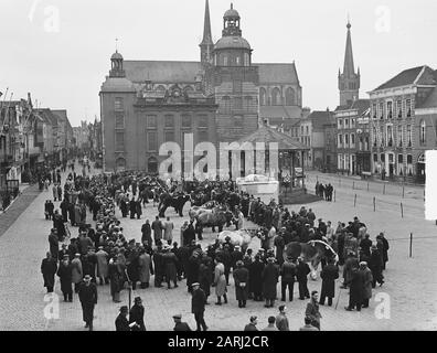 Goes stallion approval Date: February 15, 1951 Location: Goes Keywords: Stalloni, approvazioni Foto Stock