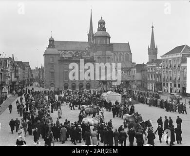 Goes stallion approval Date: February 15, 1951 Location: Goes Keywords: Stalloni, approvazioni Foto Stock