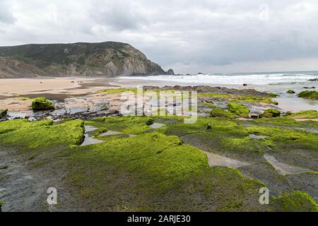 Rocce con alghe, Praia do Castelejo, Algarve, Portogallo Foto Stock