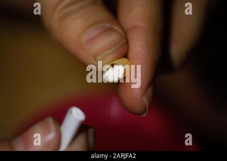 Immagine ravvicinata con le dita di una donna che tiene una capsula di farmaco aperta con una polvere bianca all'interno. Foto Stock