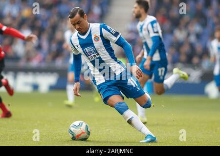 Barcellona, SPAGNA - 24 GENNAIO: Raul de Tomas di RCD Espanyol durante la partita Liga tra RCD Espanyol e FC Barcellona allo stadio RCD il 24 gennaio, Foto Stock