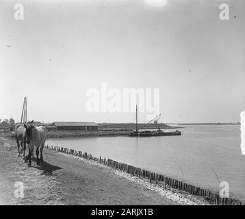 Inpoldering tra Zuidbeveland e Walcheren, de dyke op voorgrond Zuidbeveland Data: 5 agosto 1949 luogo: Walcheren, Zeeland, Zuid-Beveland Parole Chiave: INPOLDING Foto Stock