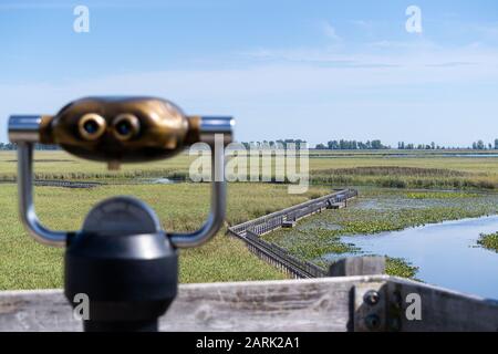 Dispositivo Pubblico Di Visione Che Guarda Fuori Interpretativo Boardwalk Attraverso Vasto Marsh Foto Stock