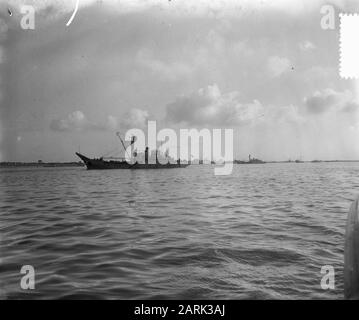 Lavori preparatori a Hoek van Holland per esplodere il sommerso Faustus Divers al relitto Faustus. Nave di salvataggio inglese Data: 13 novembre 1952 Località: Hoek van Holland, Zuid-Holland Parole Chiave: Salvataggio, navi Foto Stock
