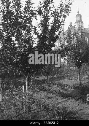 Coltivazione della frutta, reinette di baumann Data: Parole Chiave non date: Coltivazione della frutta Nome personale: reinette di Baumann Foto Stock
