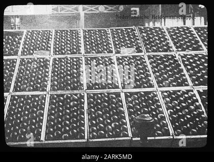 Frutta confezionata Data: Parole Chiave dense: Coltivazione della frutta Foto Stock