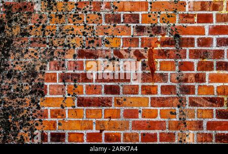 Vista dettagliata di primo piano su muri di mattoni danneggiati con crepe Foto Stock