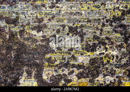 Vista dettagliata di primo piano su muri di mattoni danneggiati con crepe Foto Stock