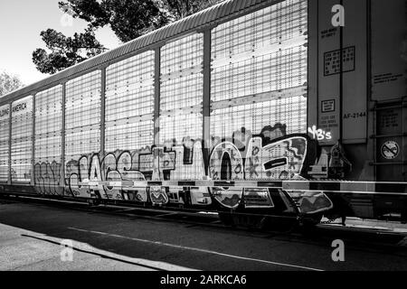 Primo piano di graffiti sulla macchina ferroviaria che trasporta nuovi veicoli dal Messico a Nogales, AZ, USA, in bianco e nero Foto Stock