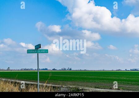 Terreno agricolo piantato con un raccolto di copertura in Merced County California USA Foto Stock