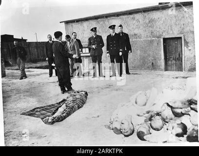 Concentration Camps in Germania soldati alleati e uomini in abbigliamento civile visualizzazione appaiono Annotazione: Repronegative Data: 1945 luogo: Germania Parole Chiave: Campi di concentramento, terrore Foto Stock