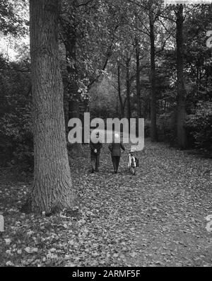 Autunno nel Kralingse Bos a Rotterdam, maschi camminare nella foresta Data: 6 ottobre 1960 Località: Rotterdam, Zuid-Holland Parole Chiave: Autunno Nome personale: Kralingse Bos Foto Stock