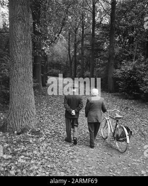 Autunno nel Kralingse Bos a Rotterdam, maschi camminare nella foresta Data: 6 ottobre 1960 Località: Rotterdam, Zuid-Holland Parole Chiave: Autunno Nome personale: Kralingse Bos Foto Stock