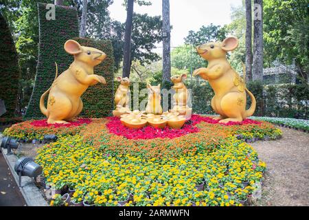 Anno del Rat 2020 a ho Chi Minh Foto Stock