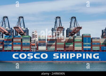 Rotterdam, Paesi Bassi - 30 luglio 3019: COSCO SHIPPING SCORPIO una grande nave con container situata nel porto di Rotterdam in fase di sbarcamento Foto Stock