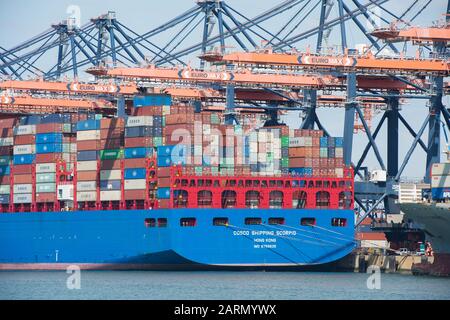 Rotterdam, Paesi Bassi - 30 luglio 3019: COSCO SHIPPING SCORPIO una grande nave con container situata nel porto di Rotterdam in fase di sbarcamento Foto Stock