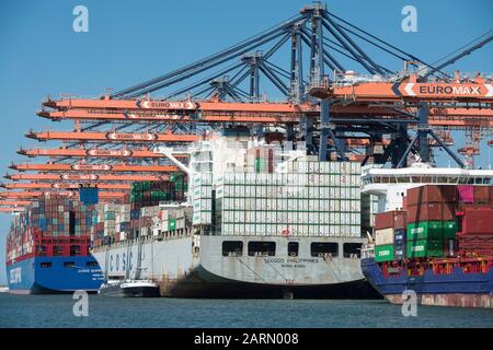 Rotterdam, Paesi Bassi - 30 luglio 3019: Cosco Shipping Scorpio e Cosco FILIPPINE due grandi navi container che si trovano nel porto di Rotterdam b. Foto Stock