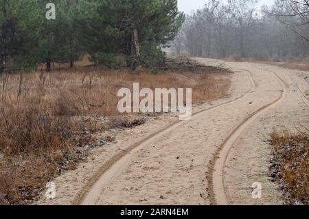 Cerchi su una strada sabbiosa. Una strada tortuosa va in lontananza e si nasconde intorno ad una curva. Viaggio fuoristrada. Messa a fuoco selettiva. Senza persone. Foto Stock