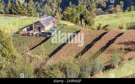 Casa con i terrazzi agricoli in alta montagna dell'Himalaya Foto Stock
