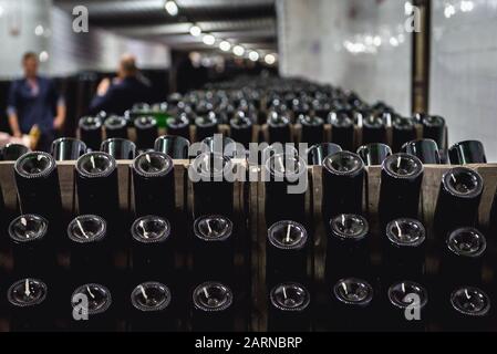 Rastrelliere con bottiglie di vino durante il processo di produzione riddling nella famosa cantina Cricova nella città di Cricova vicino a Chisinau, capitale della Moldavia Foto Stock