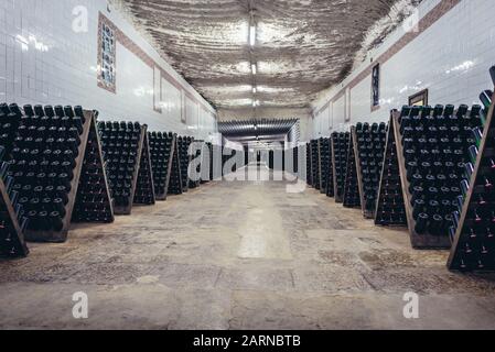 Magazzino con bottiglie di vino durante la produzione prcess chiamato riddling nella famosa cantina Cricova nella città di Cricova vicino a Chisinau, capitale della Moldavia Foto Stock