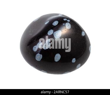 Primo piano di campione di minerale naturale dalla collezione geologica - pietra gemma Snowflake Obsidian isolata su sfondo bianco Foto Stock