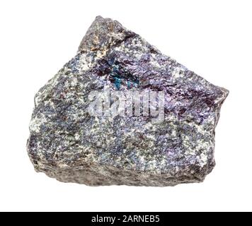 Trifoglio di campione di minerale naturale dalla raccolta geologica - roccia di Bornite grezza (minerale di pavone) isolata su sfondo bianco Foto Stock