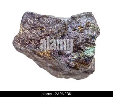 Closeup di campione di minerale naturale dalla raccolta geologica - pezzo di Bornite grezza con roccia di Chalcopyrite isolato su sfondo bianco Foto Stock