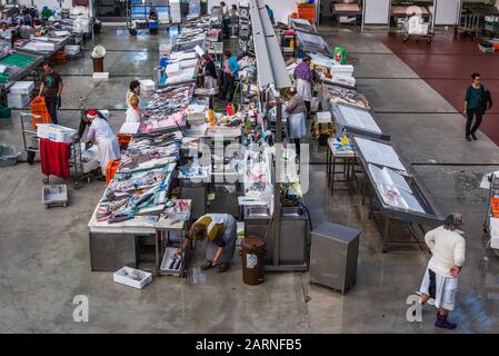 Il pesce si erge a Matosinhos Mercato Comunale (Mercado Municipal de Matosinhos) Città di Matosinhos, parte del Grande Porto sottoregione in Portogallo Foto Stock