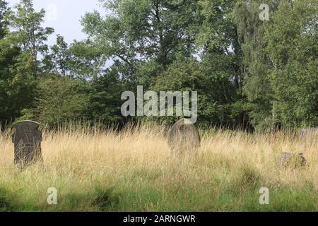 Pietre di tomba con erba sopravfatta e circondato da alberi Foto Stock