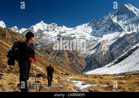 Trekkers alla catena montuosa di Annapurna in Nepal Foto Stock