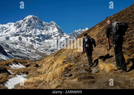 Trekkers alla catena montuosa di Annapurna in Nepal Foto Stock