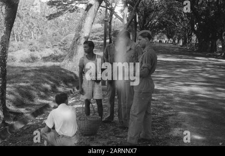 Arrivo Big Bear a Sabang e Belawan [Soldati passeggeri durante il ritardo a Belewan. Interesse per i frutti tropicali] Data: 5 maggio 1949 luogo: Indonesia, Indie orientali olandesi Foto Stock