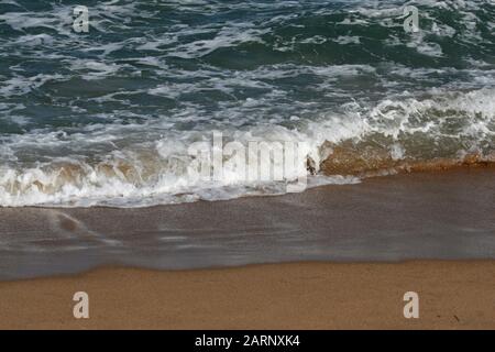 Onde sulla spiaggia, Umdloti, Costa Nord di KwaZulu-Natal, Sud Africa. Foto Stock