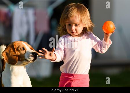 Bambina piccola che gioca nella giornata di sole nel cortile con il suo migliore amico beagle cane. Foto Stock