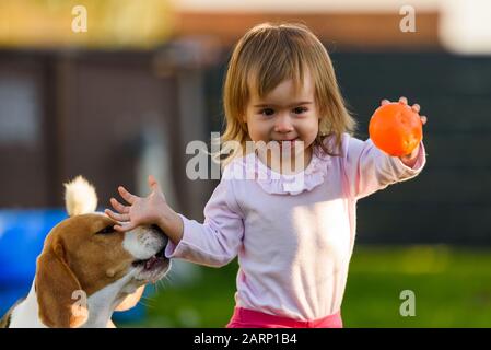 Bambina piccola che gioca nella giornata di sole nel cortile con il suo migliore amico beagle cane. Foto Stock