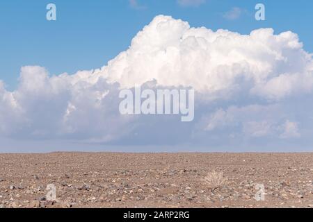 le pietre di sabbia bagnate nel deserto di lut Foto Stock