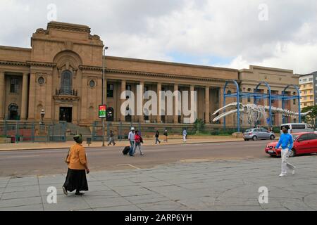 Ditsong Museo Nazionale Di Storia Naturale Ex Museo Transvaal, Piazza Pretorius, Pretoria/Tshwane Central, Gauteng, Sudafrica. Foto Stock